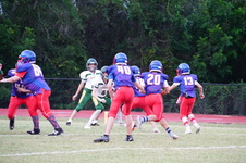 Enlarge photo 235