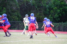 Enlarge photo 236