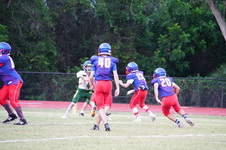 Enlarge photo 237