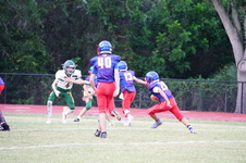 Enlarge photo 238