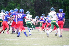 Enlarge photo 241