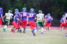 Enlarge photo 242