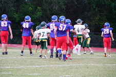 Enlarge photo 243