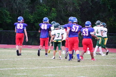 Enlarge photo 245