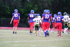 Enlarge photo 248