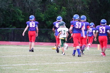 Enlarge photo 246