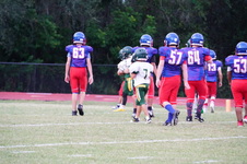 Enlarge photo 247