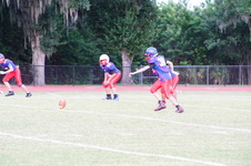 Enlarge photo 259