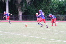 Enlarge photo 260
