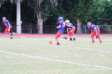 Enlarge photo 262
