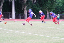 Enlarge photo 261