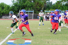 Enlarge photo 277