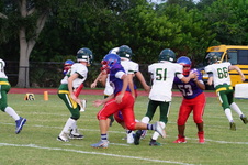 Enlarge photo 281