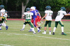 Enlarge photo 283