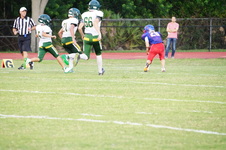 Enlarge photo 307