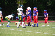 Enlarge photo 308