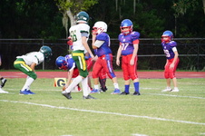 Enlarge photo 310
