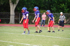 Enlarge photo 309