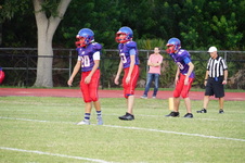 Enlarge photo 312