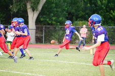 Enlarge photo 313