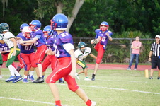 Enlarge photo 316
