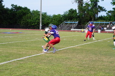 Enlarge photo 340