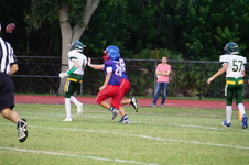 Enlarge photo 344