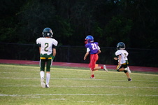 Enlarge photo 391