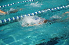 Enlarge photo 33