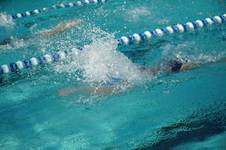 Enlarge photo 35