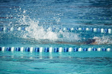 Enlarge photo 38