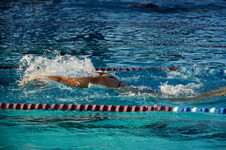 Enlarge photo 40