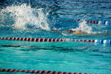 Enlarge photo 42
