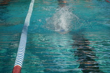 Enlarge photo 46