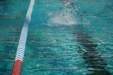 Enlarge photo 47