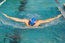 Enlarge photo 63
