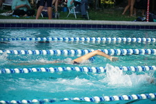 Enlarge photo 67