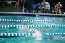 Enlarge photo 68