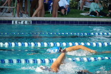 Enlarge photo 70