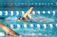 Enlarge photo 72