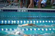 Enlarge photo 71