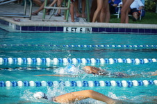 Enlarge photo 73