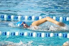 Enlarge photo 74