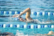 Enlarge photo 75