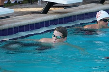 Enlarge photo 82