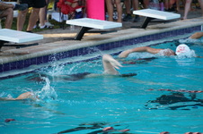 Enlarge photo 84
