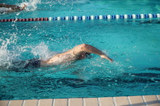 Enlarge photo 87