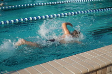 Enlarge photo 92