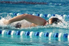 Enlarge photo 91