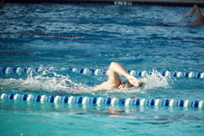 Enlarge photo 93